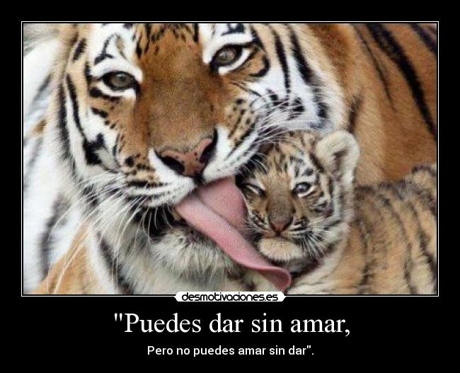 carteles amor desmotivaciones