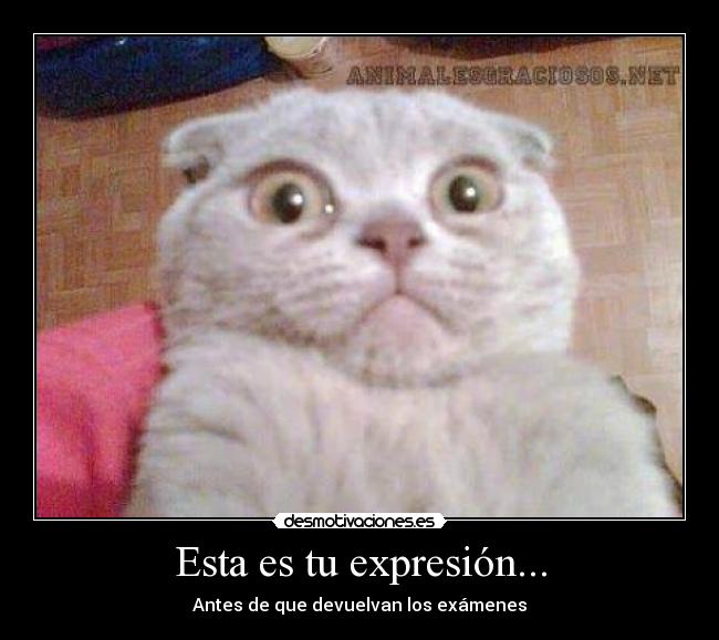 Esta es tu expresión... - Antes de que devuelvan los exámenes