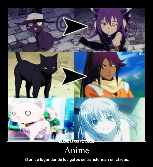 Anime -
