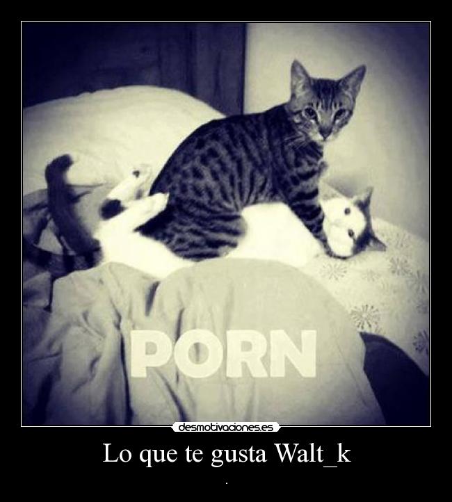 Lo que te gusta Walt_k - .