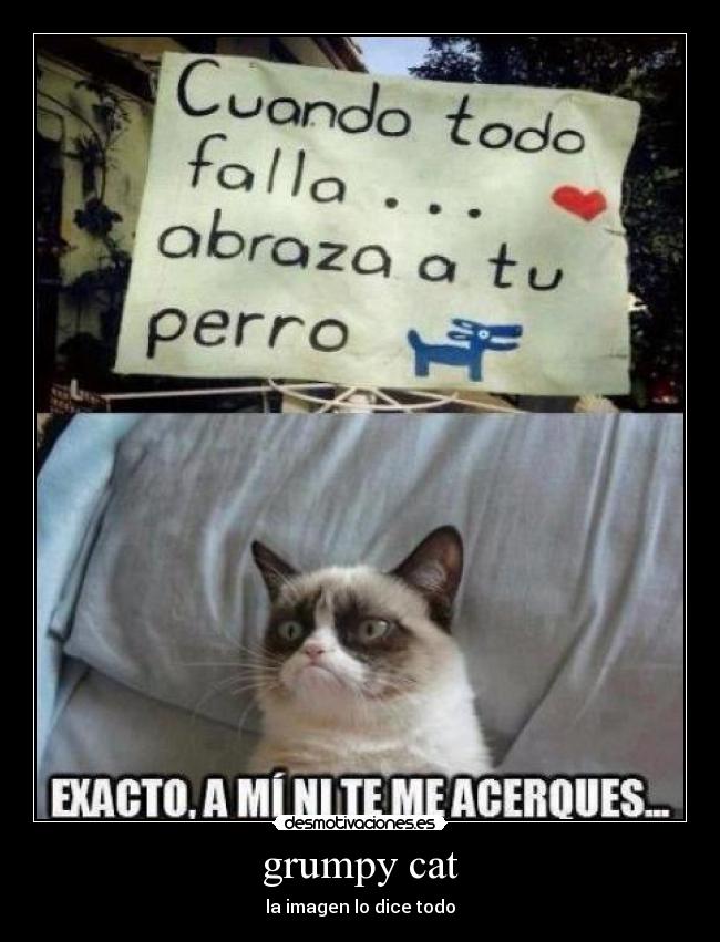 grumpy cat - la imagen lo dice todo