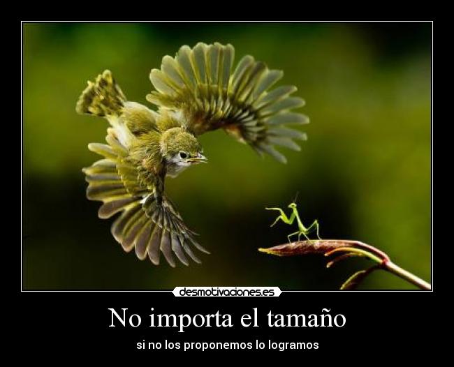 No importa el tamaño - si no los proponemos lo logramos