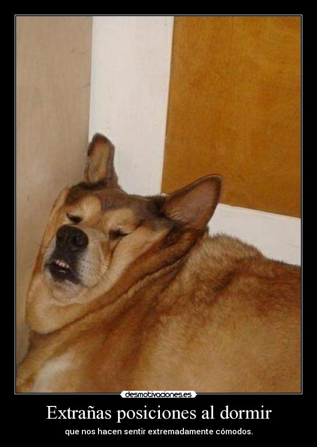 Extrañas posiciones al dormir -