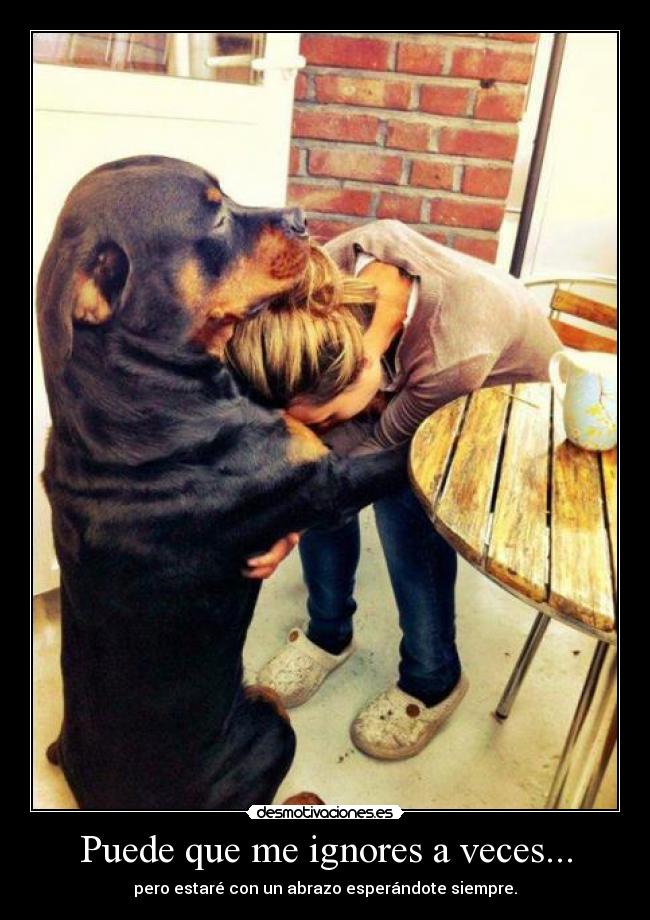 Puede que me ignores a veces... - pero estaré con un abrazo esperándote siempre.