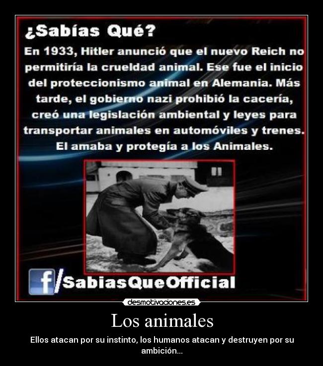 Los animales - Ellos atacan por su instinto, los humanos atacan y destruyen por su ambición...