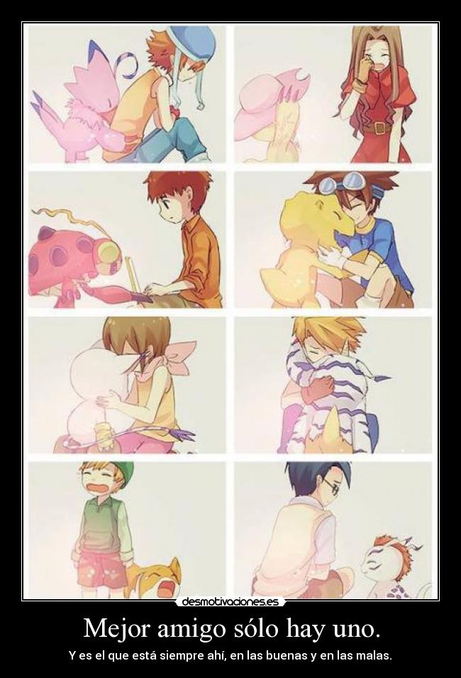 Mejor amigo sólo hay uno. - 