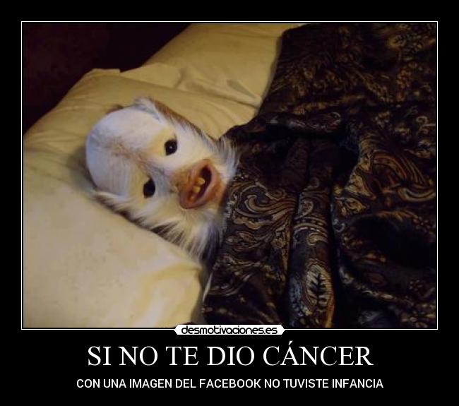 SI NO TE DIO CÁNCER - CON UNA IMAGEN DEL FACEBOOK NO TUVISTE INFANCIA