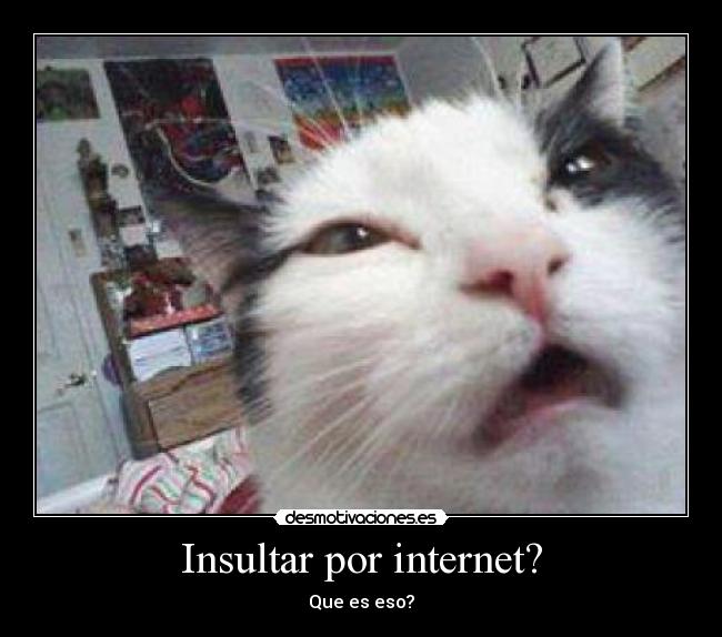 Insultar por internet? - Que es eso?