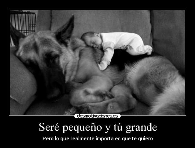 Seré pequeño y tú grande - Pero lo que realmente importa es que te quiero