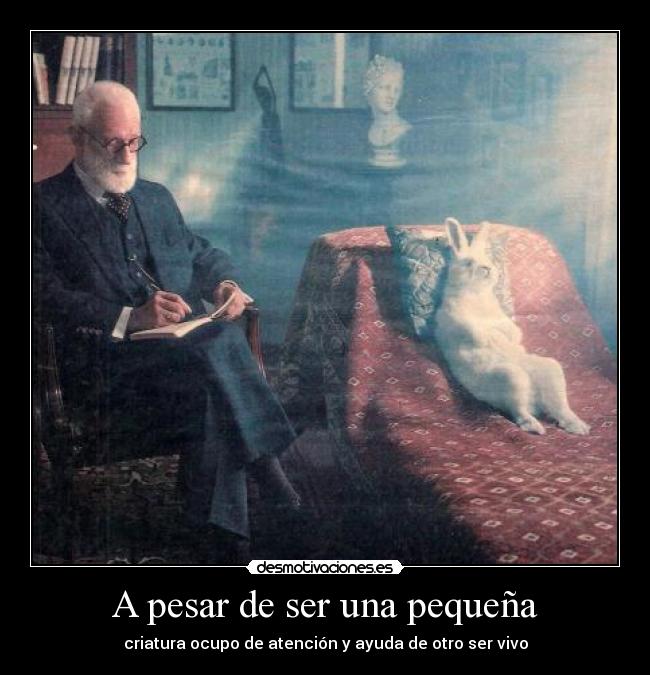 A pesar de ser una pequeña - criatura ocupo de atención y ayuda de otro ser vivo