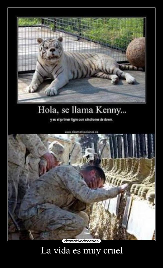 La vida es muy cruel -