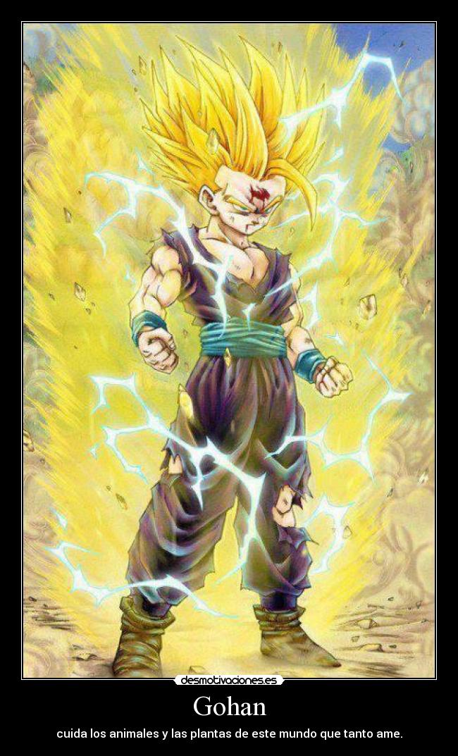 Gohan - 