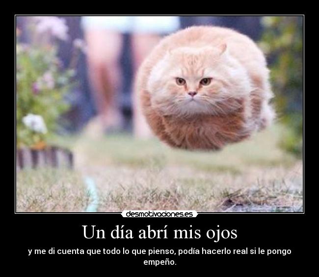 Un día abrí mis ojos -