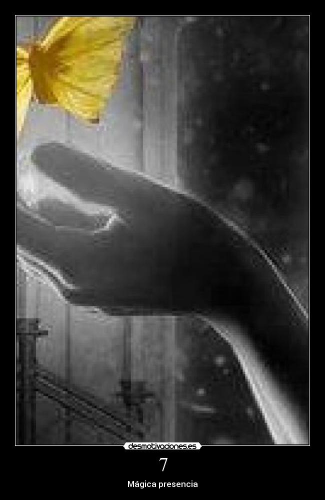 7 - Mágica presencia
