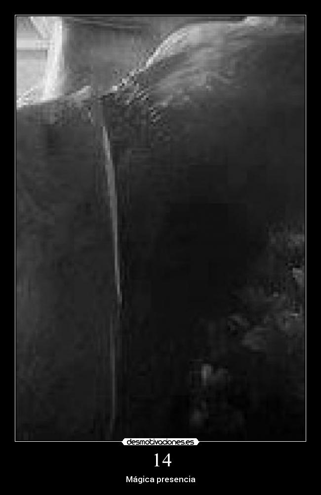 14 - Mágica presencia