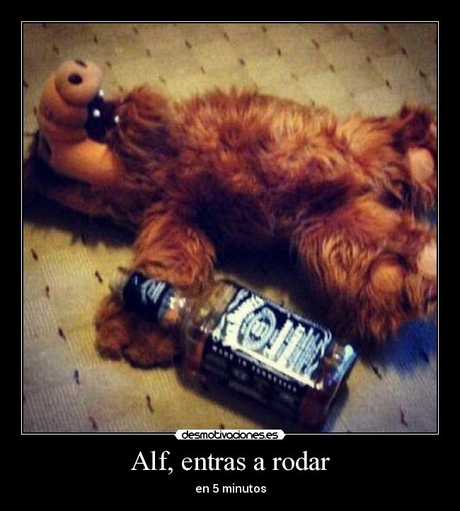 Alf, entras a rodar - en 5 minutos