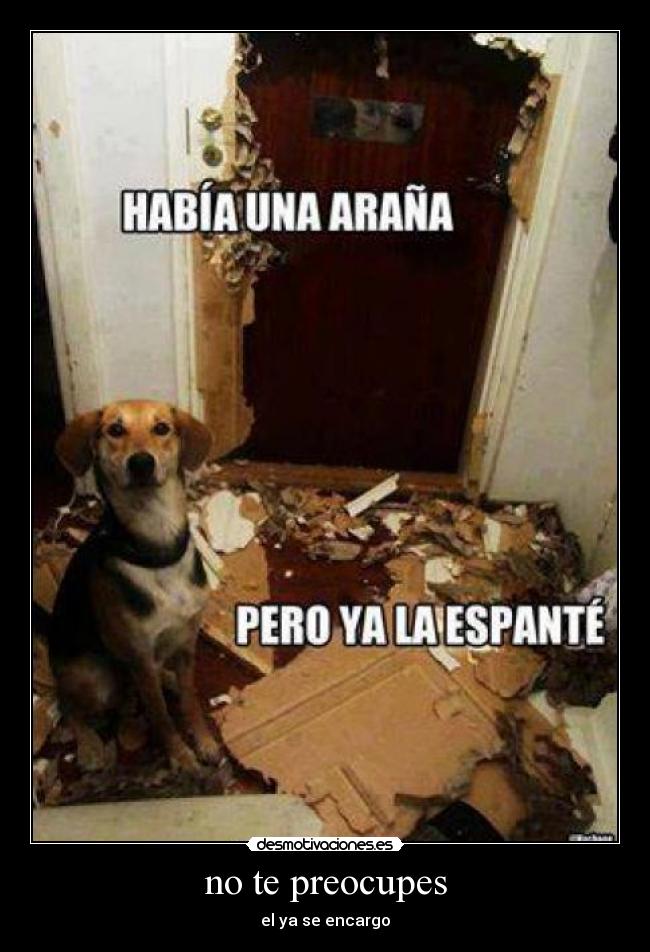 no te preocupes - el ya se encargo