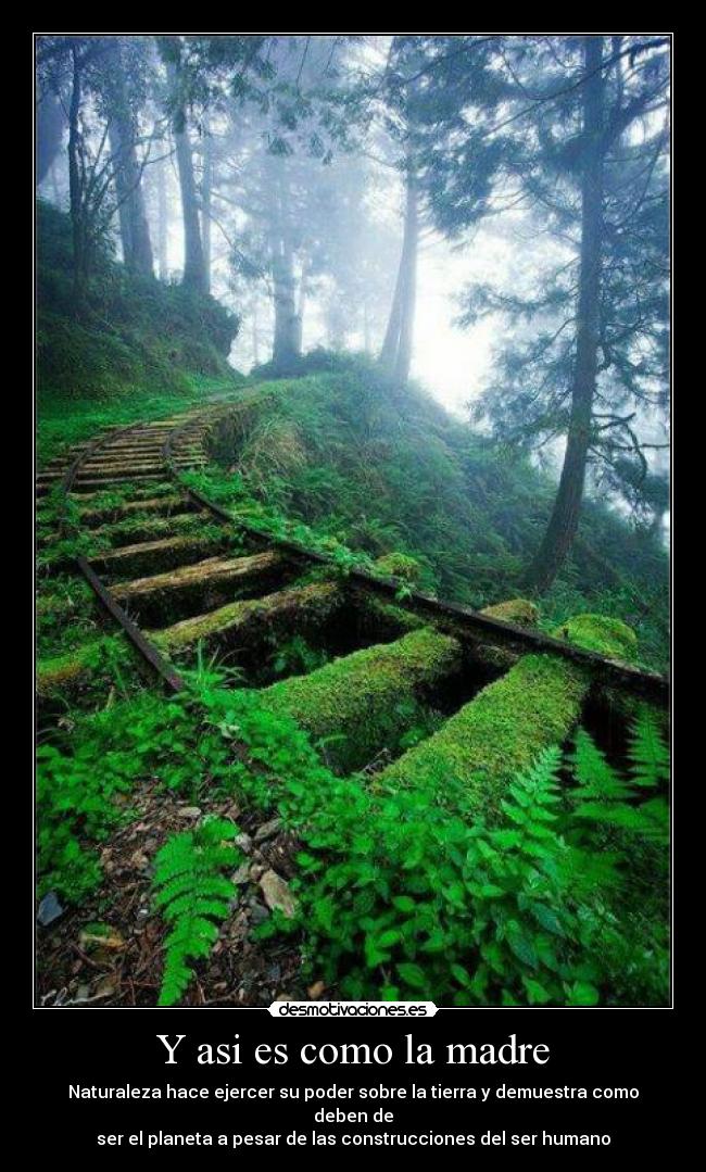 Y asi es como la madre - Naturaleza hace ejercer su poder sobre la tierra y demuestra como deben de
ser el planeta a pesar de las construcciones del ser humano