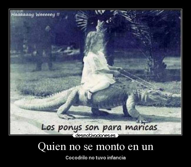 carteles cocos desmotivaciones