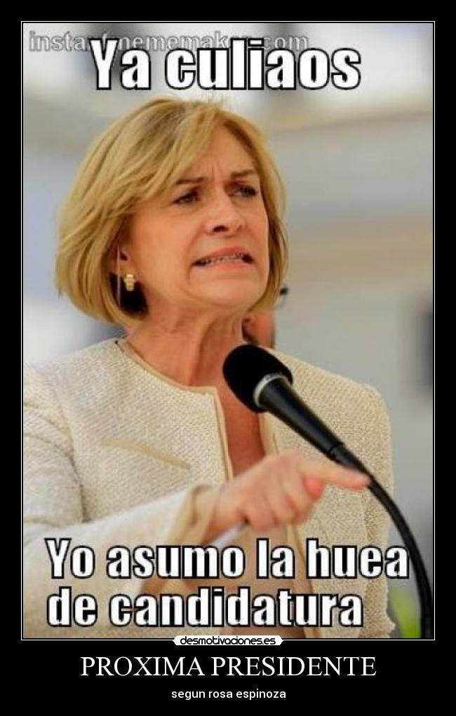 carteles politicabasurita desmotivaciones