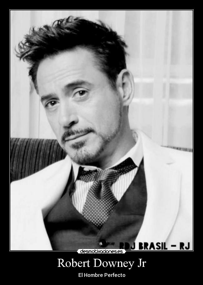 Robert Downey Jr - El Hombre Perfecto