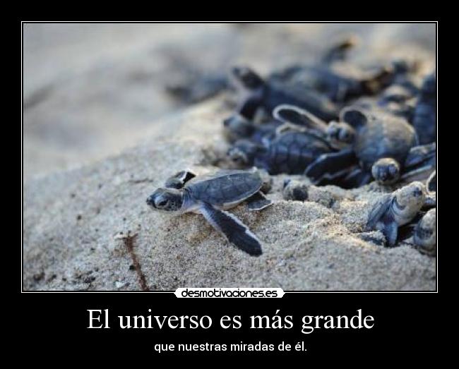 El universo es más grande - 