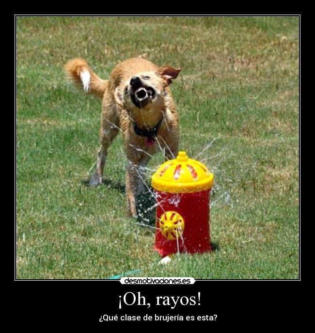 ¡Oh, rayos! - ¿Qué clase de brujería es esta?