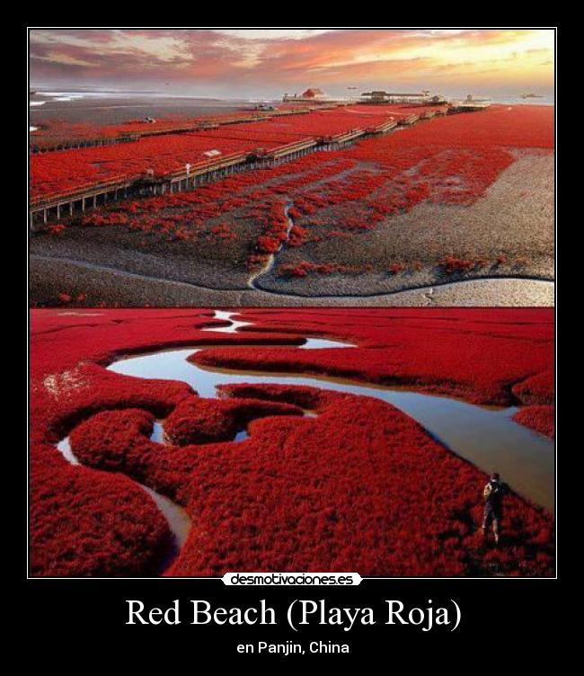 Red Beach (Playa Roja) - en Panjin, China