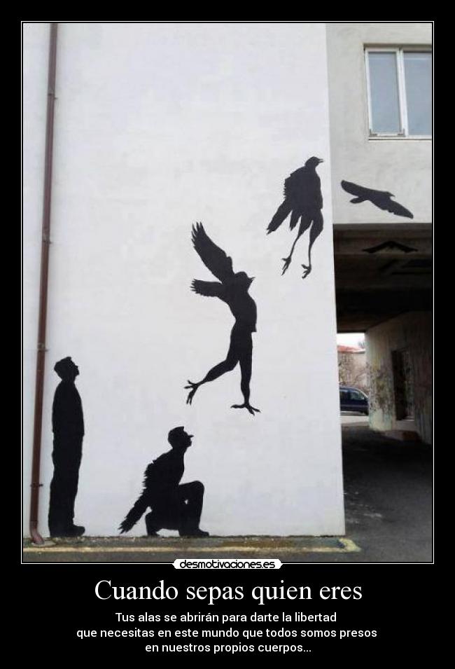carteles las alas son prueba que eres libre desmotivaciones
