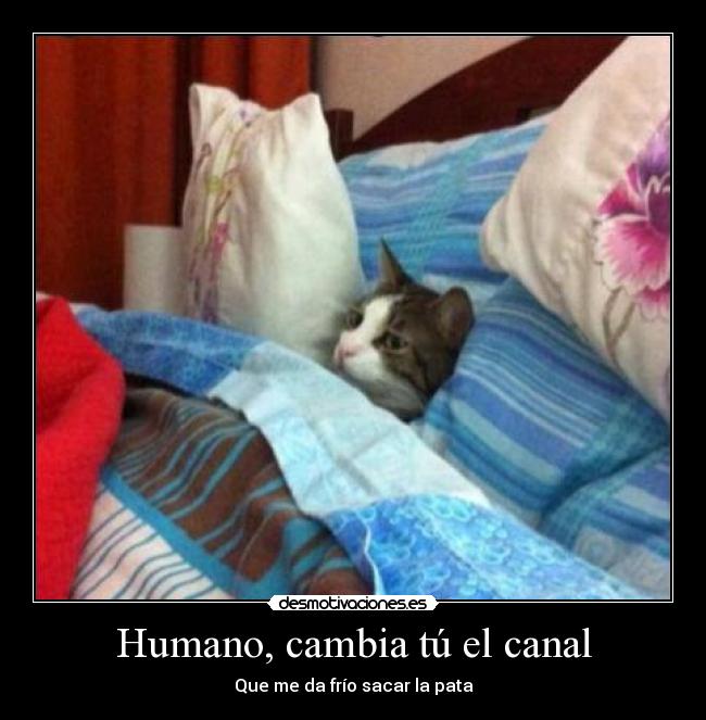 Humano, cambia tú el canal - 