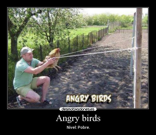 Angry birds - Nivel: Pobre.