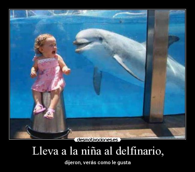Lleva a la niña al delfinario, - dijeron, verás como le gusta