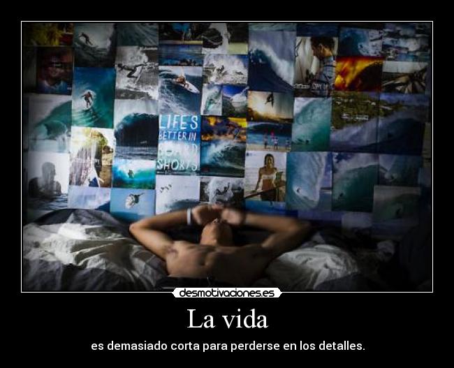 La vida - es demasiado corta para perderse en los detalles.