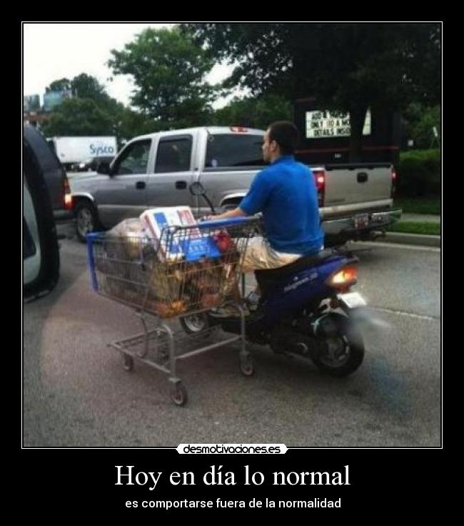 carteles viendo hungria donde espero que alonso muerda vettel desde salida sale quinto desmotivaciones