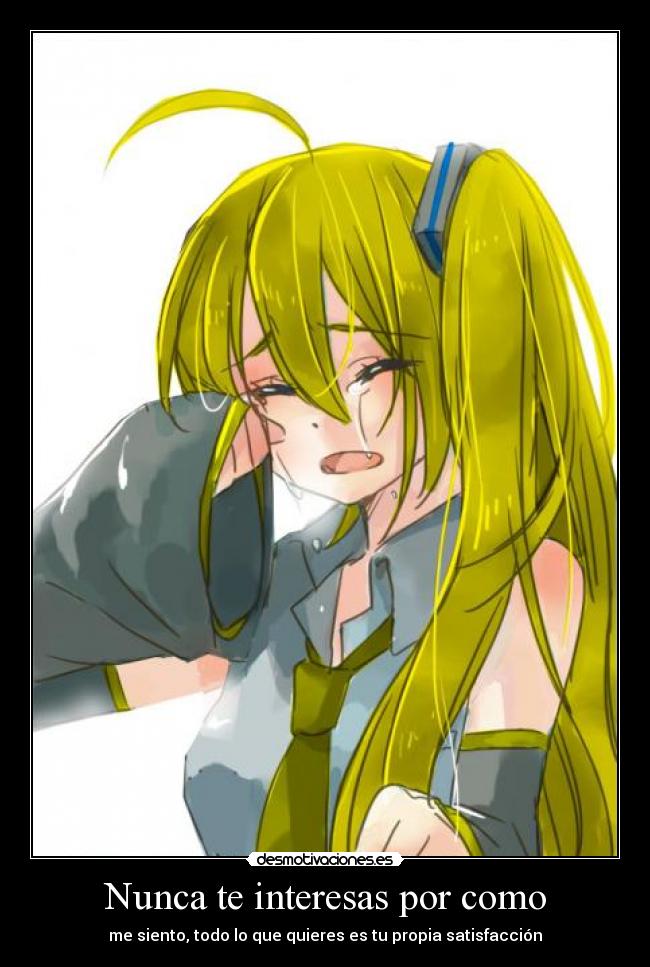 Nunca te interesas por como -