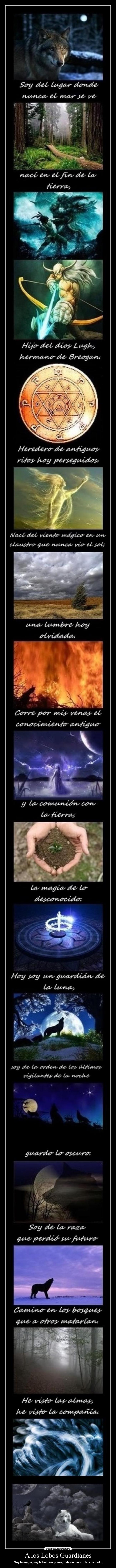 carteles lobos guardianes desmotivaciones