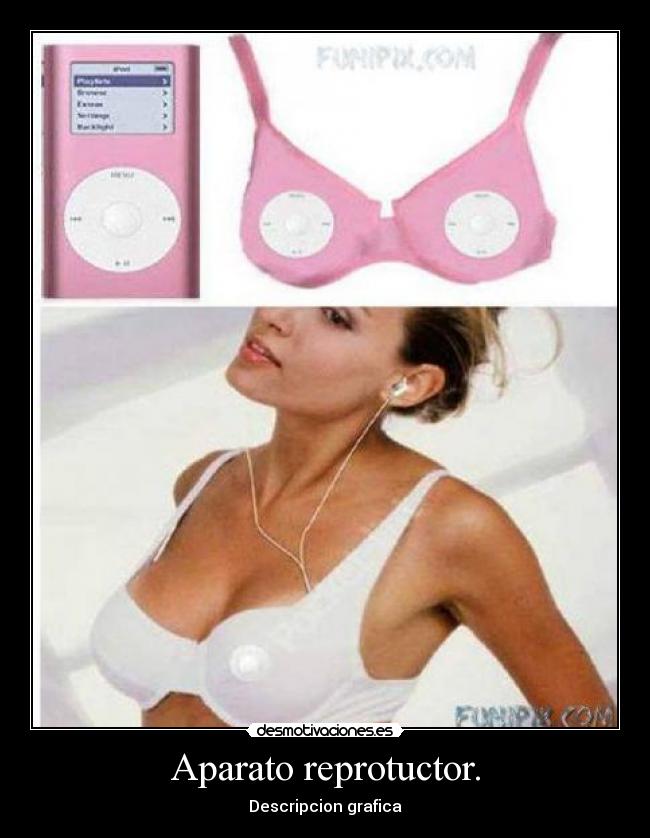 Aparato reprotuctor. - 