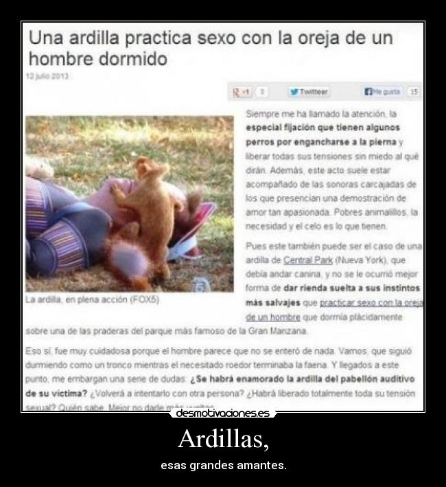 Ardillas, - esas grandes amantes.