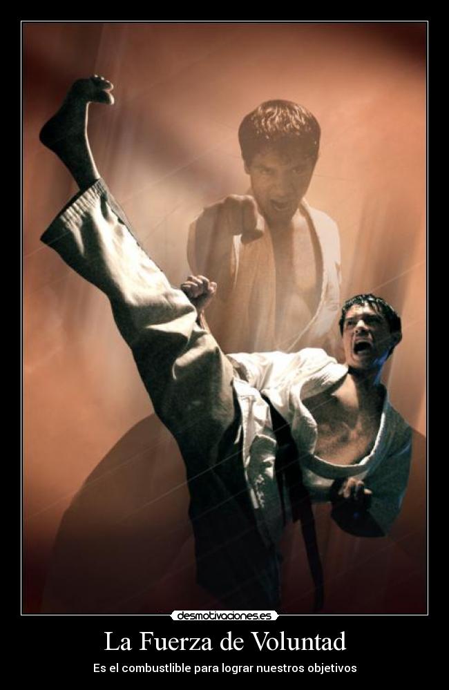 carteles artes marciales desmotivaciones