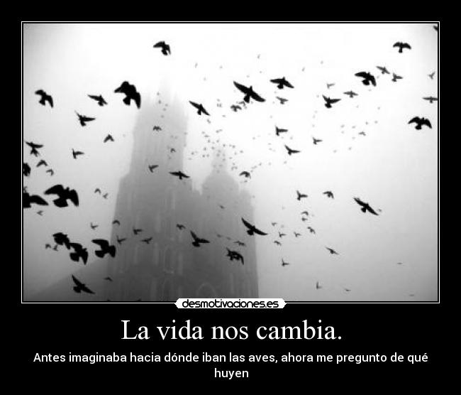 La vida nos cambia. - Antes imaginaba hacia dónde iban las aves, ahora me pregunto de qué huyen