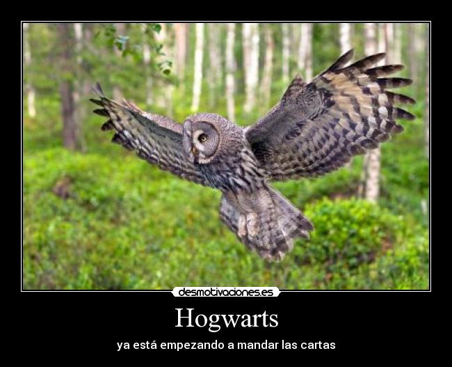 Hogwarts -
