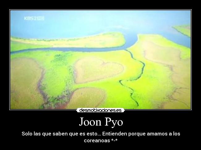 carteles joon pyo desmotivaciones