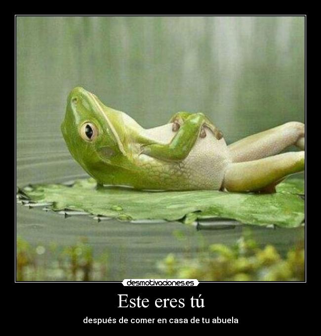 Este eres tú - después de comer en casa de tu abuela
