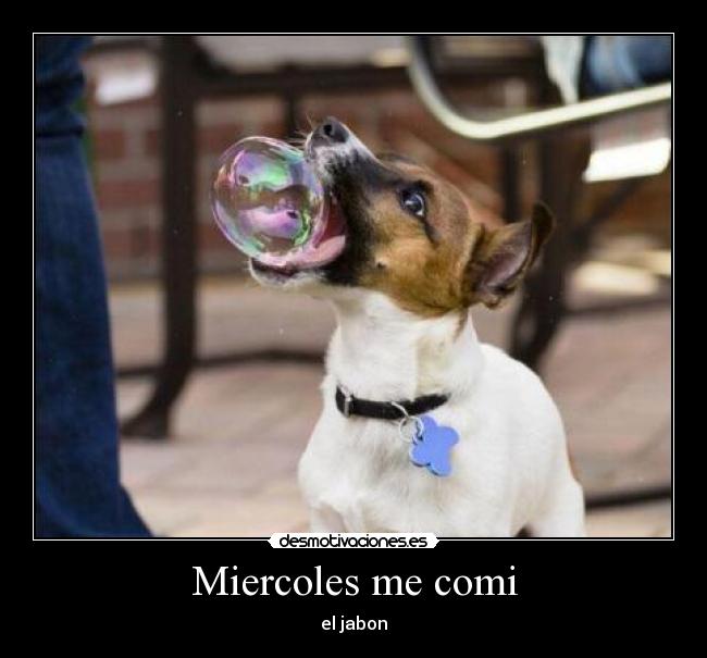 Miercoles me comi - el jabon