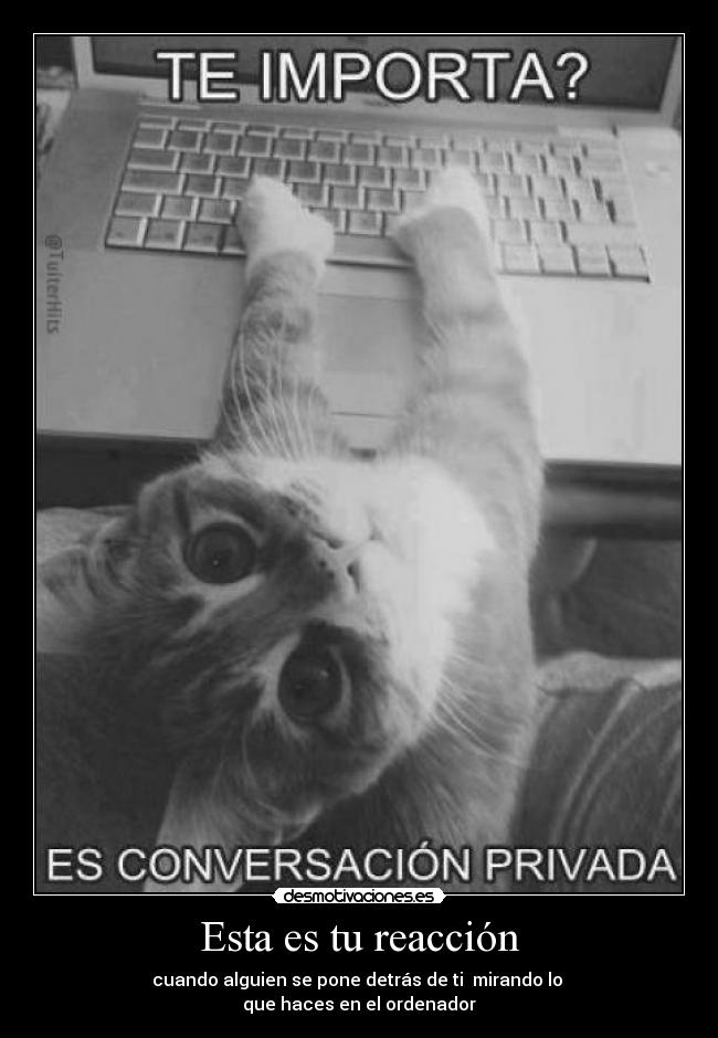 Esta es tu reacción - cuando alguien se pone detrás de ti mirando lo
que haces en el ordenador