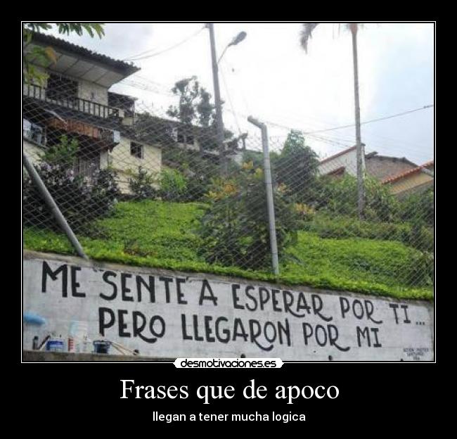 Frases que de apoco - 