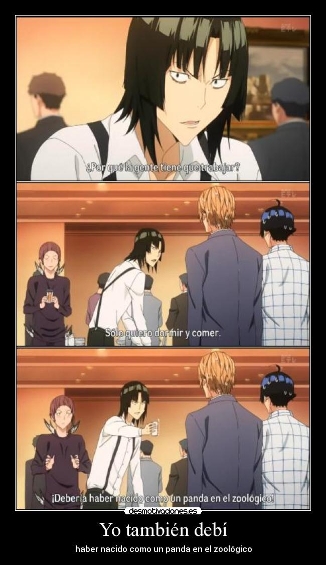 Yo también debí - haber nacido como un panda en el zoológico
