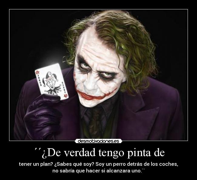 ´´¿De verdad tengo pinta de - tener un plan? ¿Sabes qué soy? Soy un perro detrás de los coches,
no sabría que hacer si alcanzara uno.``