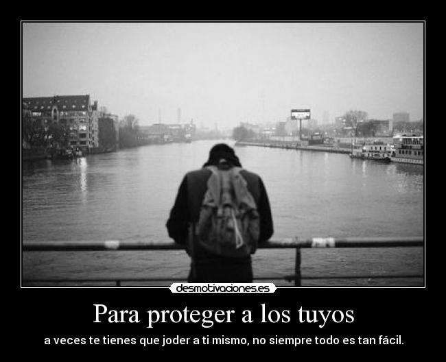 carteles directionerloveforever desmotivaciones