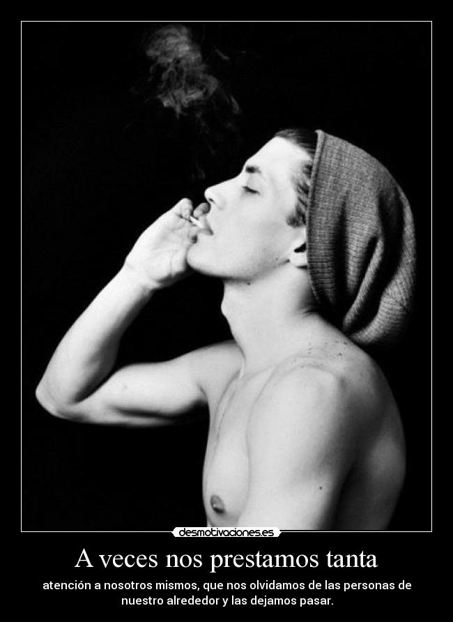 carteles directionerloveforever desmotivaciones